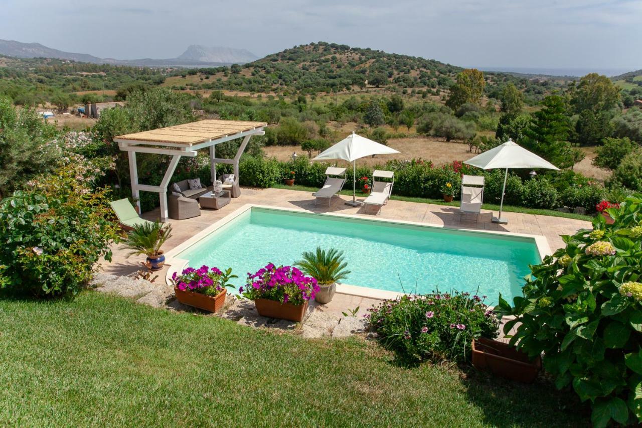 Hotel Domus Francy à San Teodoro  Extérieur photo