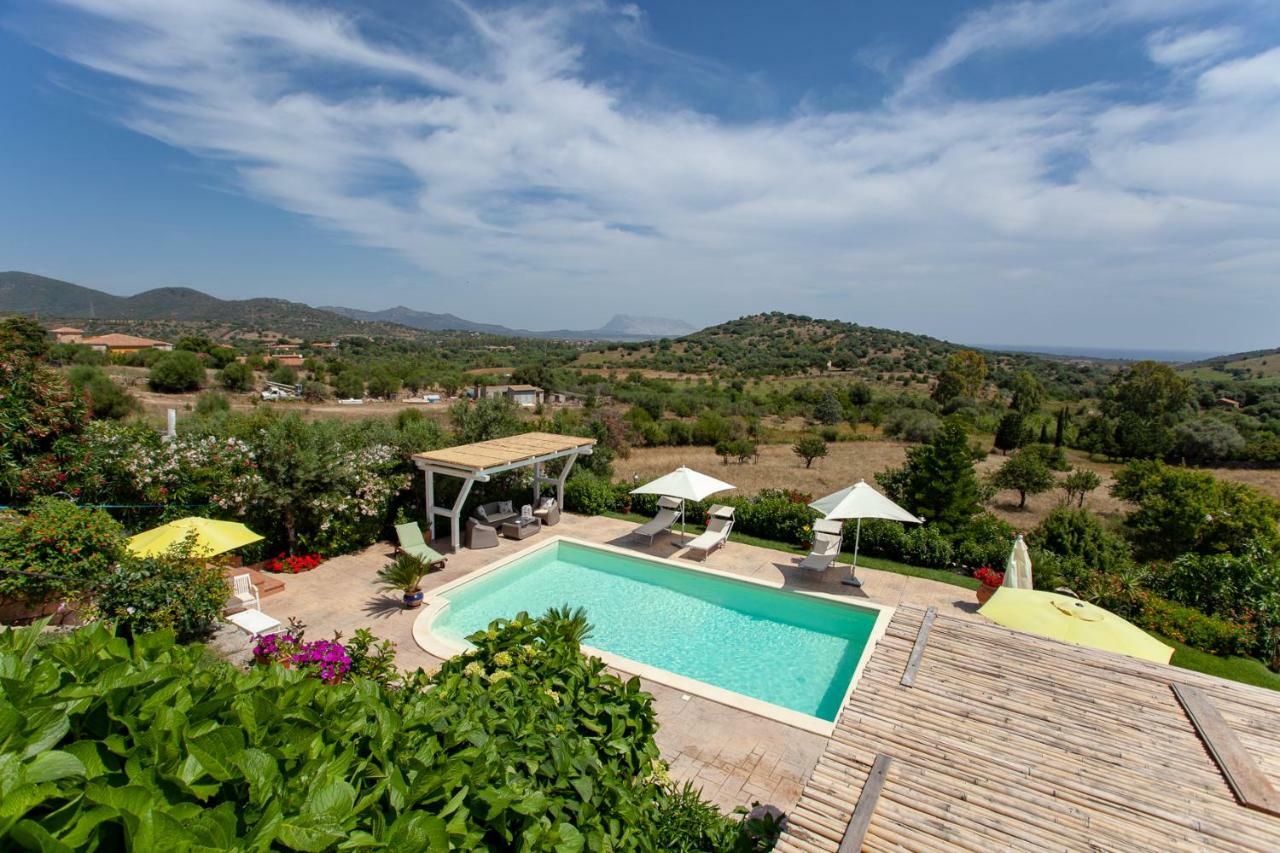Hotel Domus Francy à San Teodoro  Extérieur photo